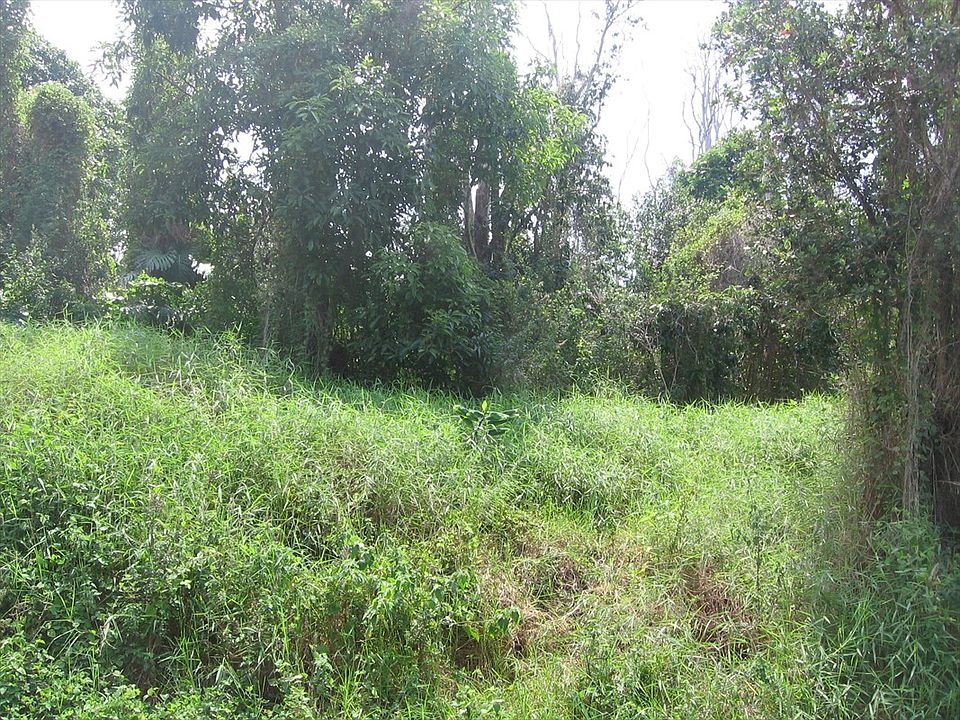 2nd image of Orchid Pkwy Lot 9