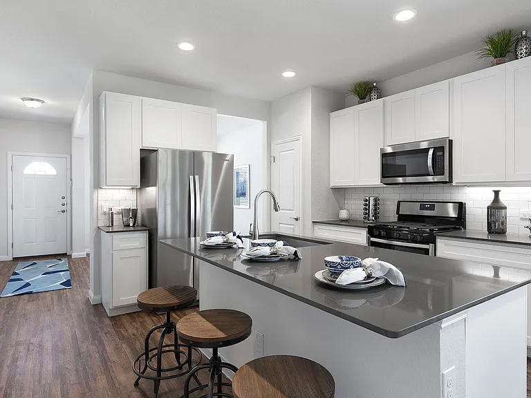 Stainless Steel Appliances and Gas Ranges