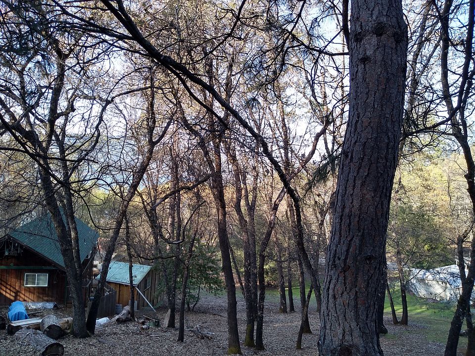 Lake-view filtered by trees.