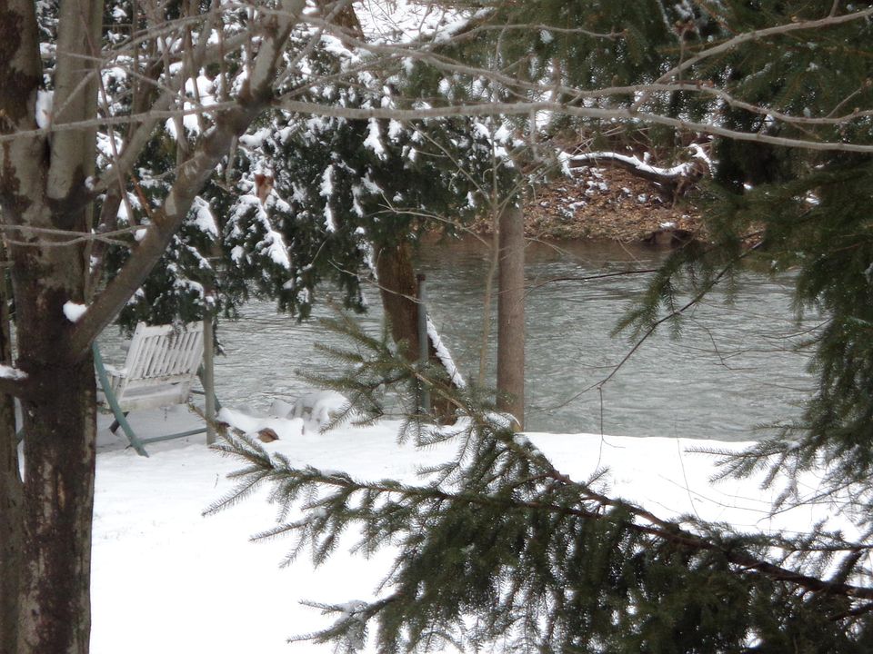 Shared dock on Conestoga
