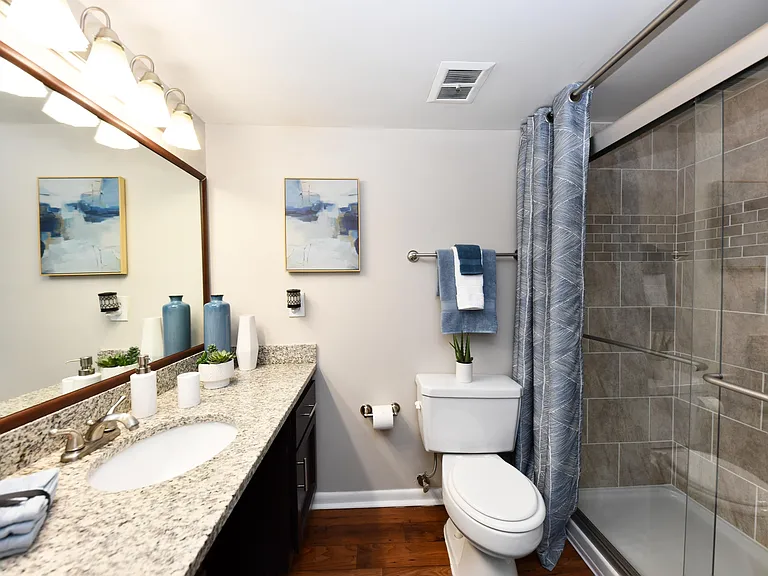 Bright bathroom with granite counters and walk-in shower