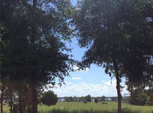 25100 Washington St, Astatula, FL 34705