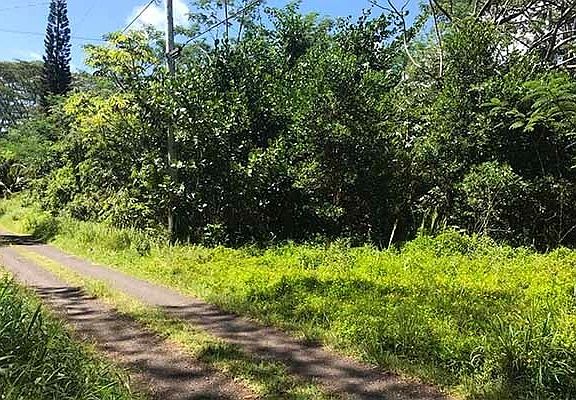 5th image of 8th Ave Lot 1022
