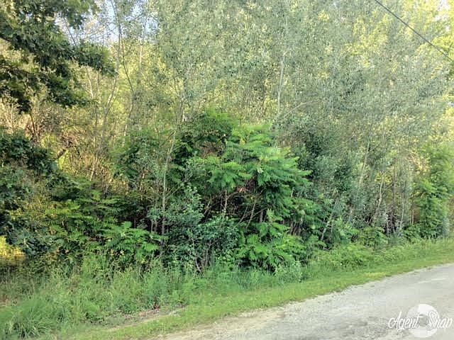 2nd image of 469 Southwood Rd
