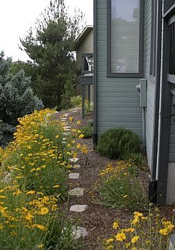 Side Path