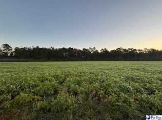 2008 Timmons Rd, Effingham, SC 29541