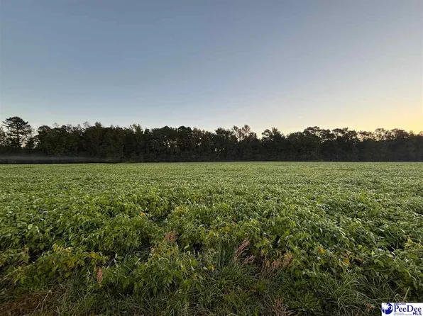 2010 Timmons Rd Lot 9, Effingham, SC 29541