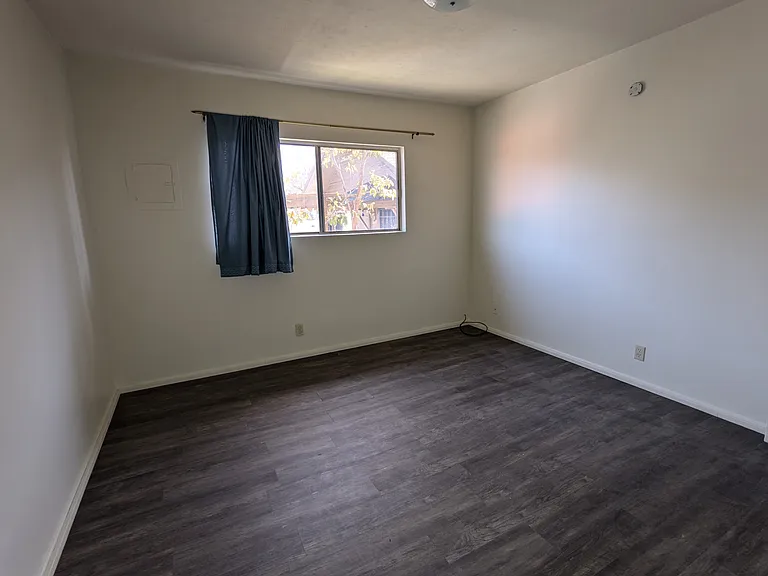 821 Olive Ave #6 — Photo 15