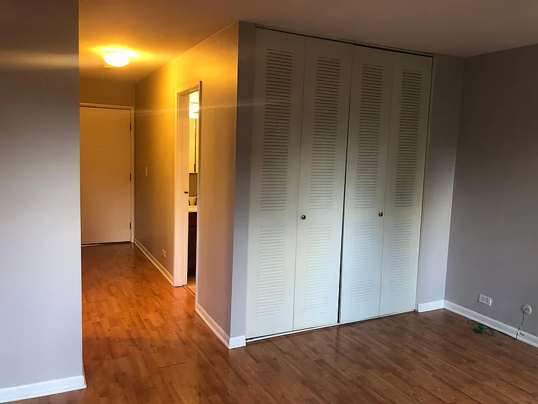636 W Webster Ave #301 — Photo 4