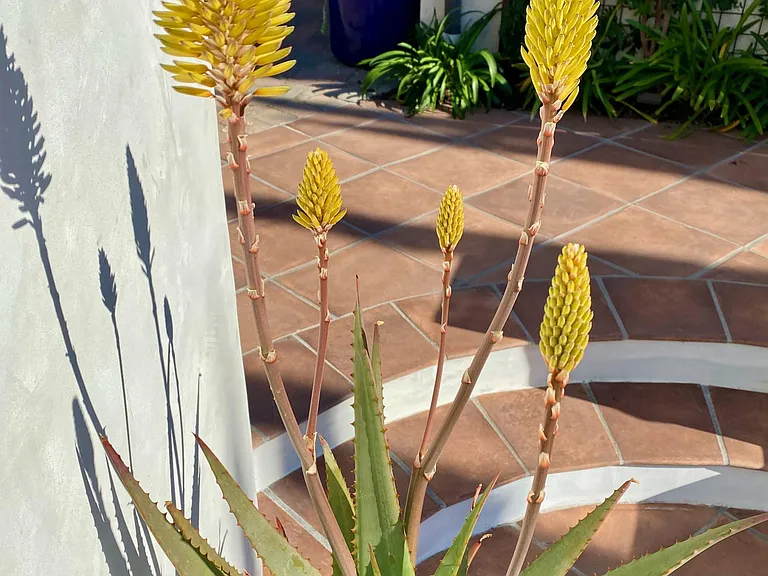 26822 Vista Del Mar Dana Point — Photo 21