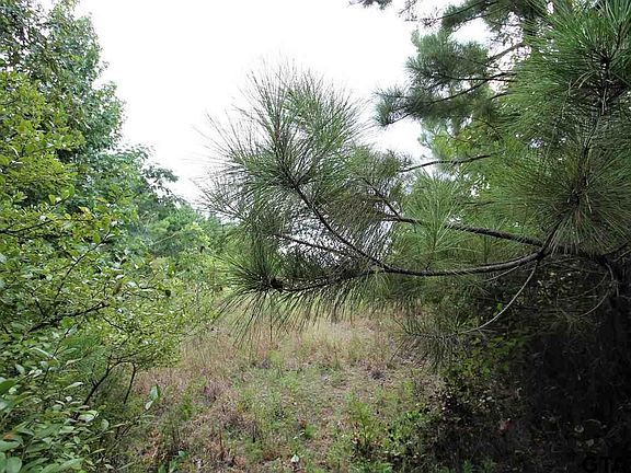 5th image of Private Road 2343