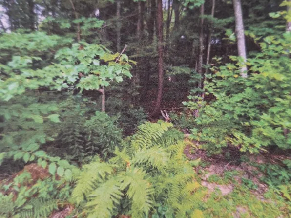 18 Robin Shore Drive, Canterbury, NH 03224