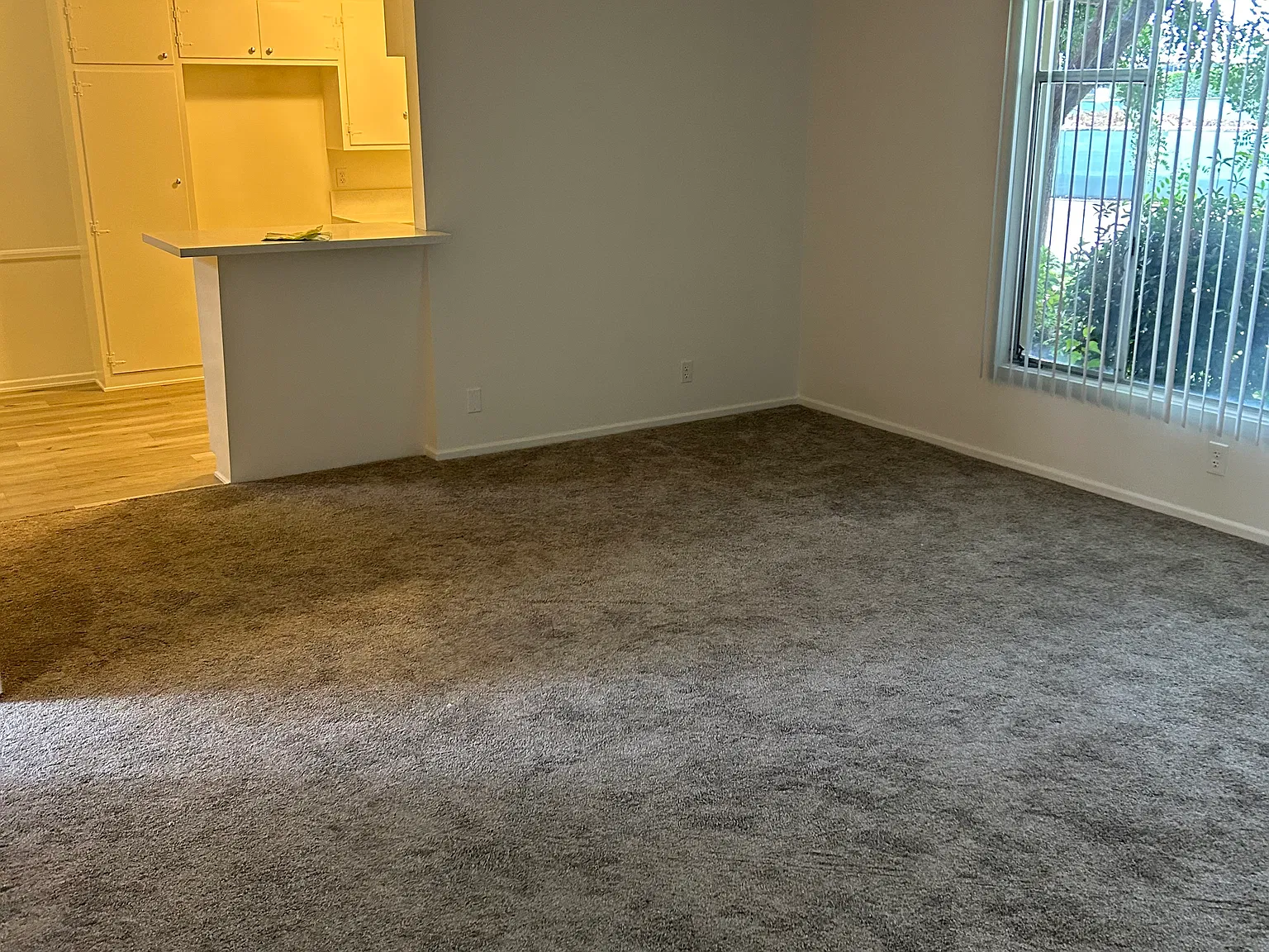 1 bed, $2,000 — Photo 3