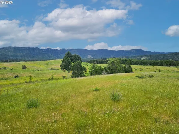 0 Denn Rd, Camas Valley, OR 97416