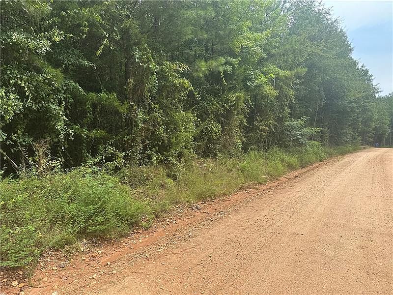 2nd image of 0 Lee Road 252