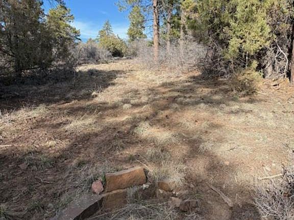 2nd image of 495 Justin's Drive