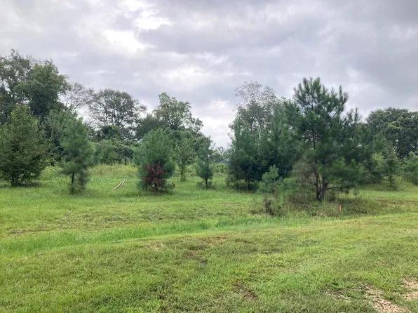 10 Deer Ridge Dr, Hamilton, GA 31811