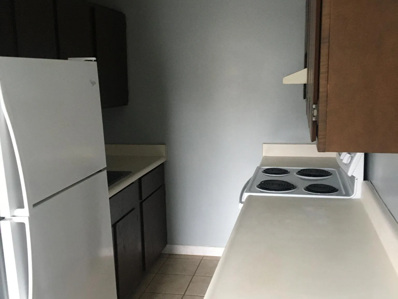 1 bed, 800 sqft, $600 — Photo 2