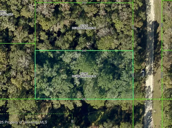 LOT 3 Carolina Dove Rd Lot 3, Brooksville, FL 34614
