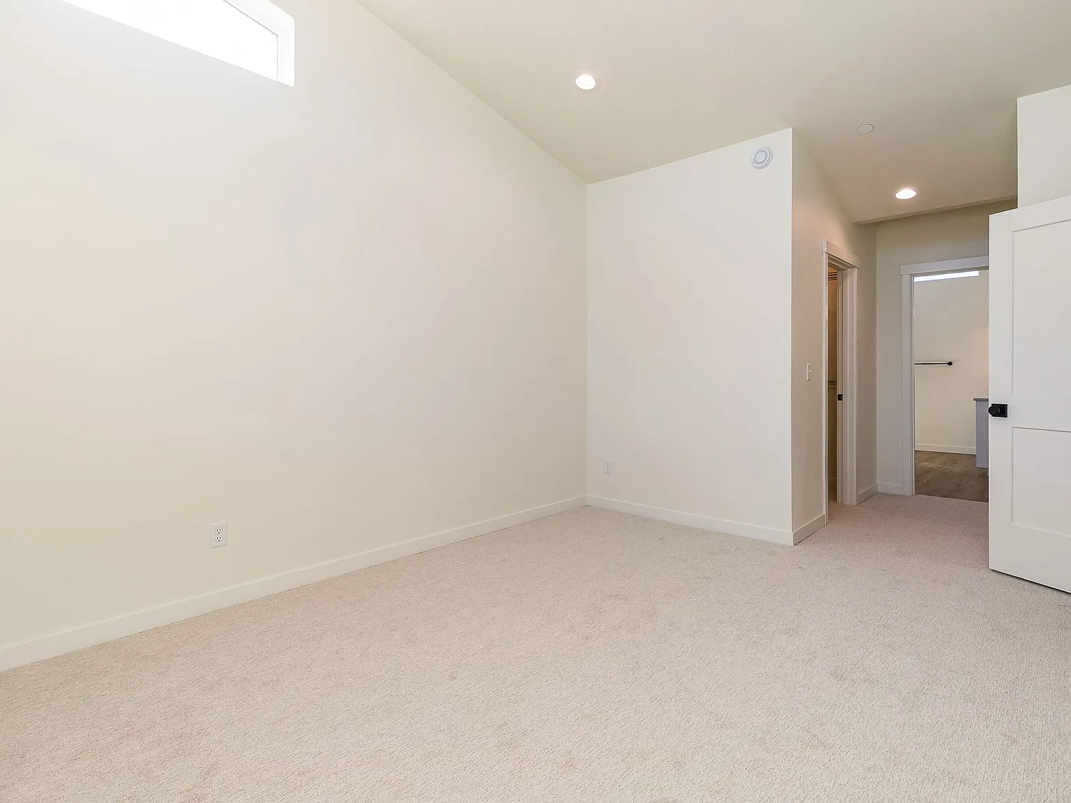New Construction Luxury Townhomes - 354 E. Bakerview Road — Photo 4