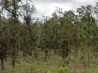 NE 11TH STREET LOT 4, WILLISTON, FL 32696