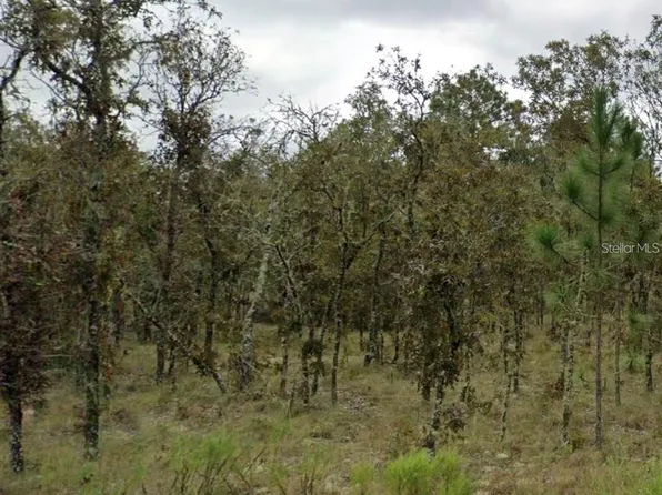 NE 11TH STREET LOT 4, WILLISTON, FL 32696