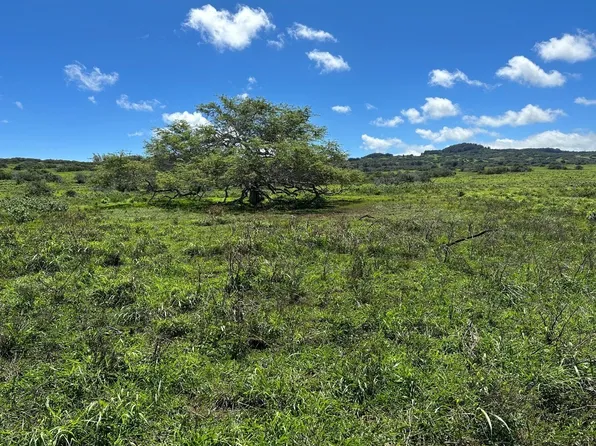 56-2839 Honoipu Puuhue Rd, Hawi, HI 96719