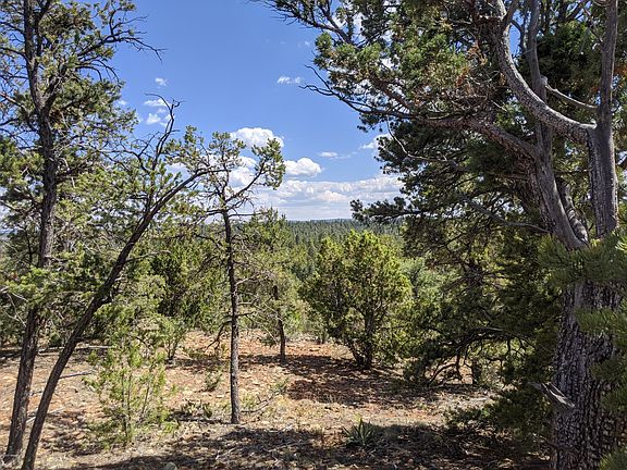 4th image of 1489 Low Mountain Trl