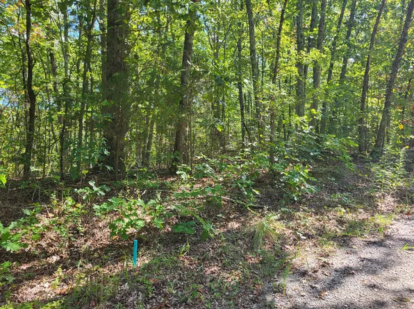 8 Strawberry Gables Gables Lot 8, Holladay, TN 38341