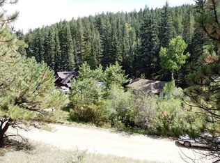 2720 Soda Creek Rd, Idaho Springs, CO 80452