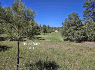 988 Crooked Rd, Pagosa Springs, CO 81147