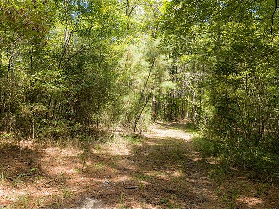 2nd image of NE Off Of Fm 227