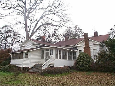 Back View