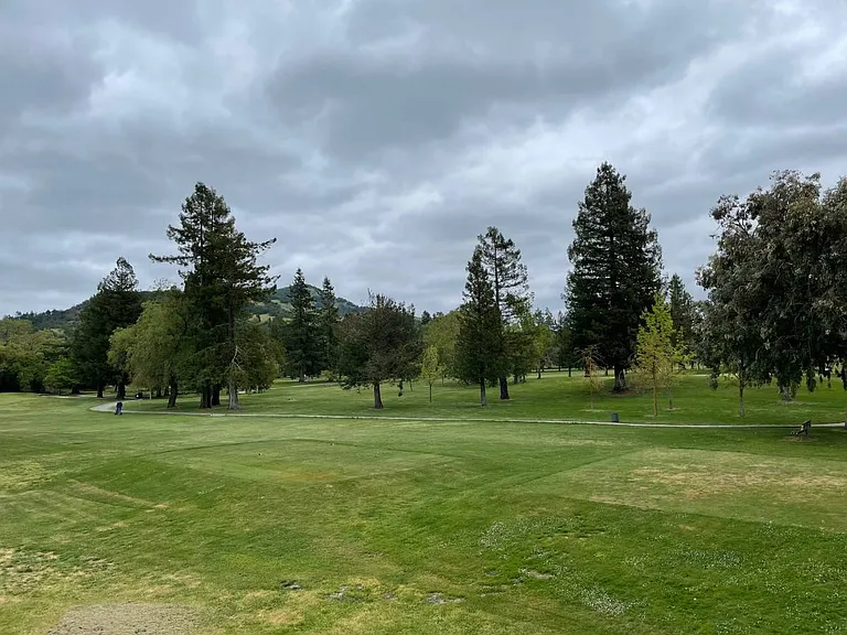 Fairway Arms — Photo 13