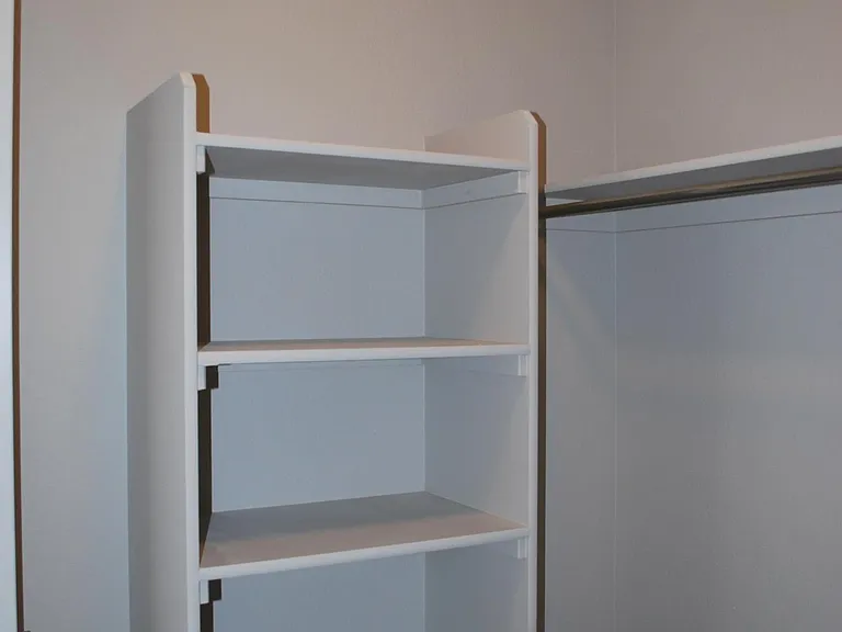 Master walk-in closet