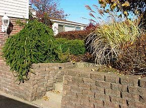 2nd image of 110 Home Ave