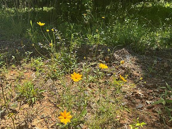 4th image of 56 Ridge Rd Lot 56