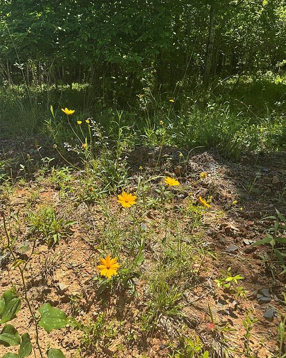 1st image of 55 Ridge Rd Lot 55