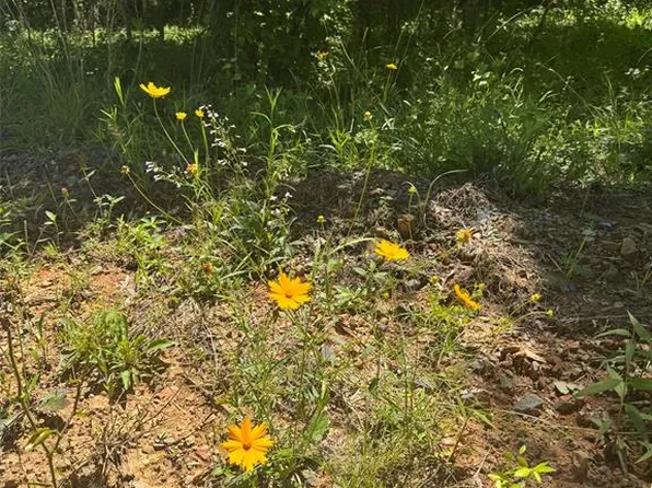 55 Ridge Rd Lot 55, Watson, OK 74963