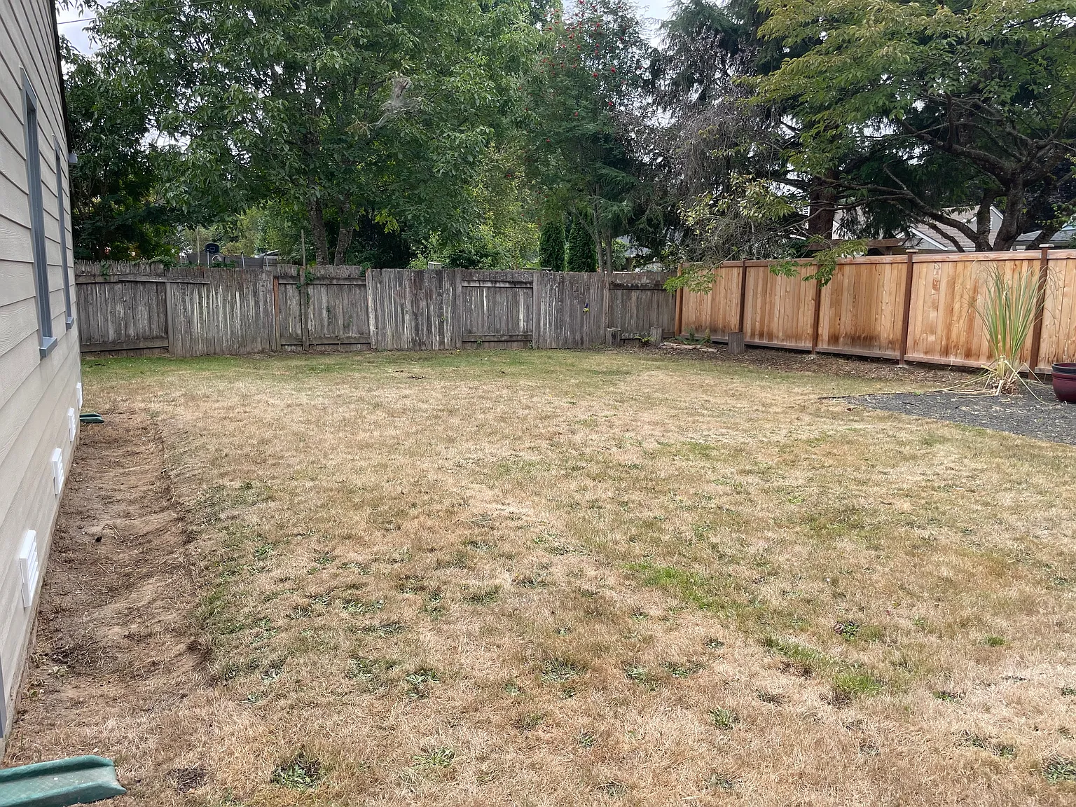 3 bed, 874 sqft, $2,195 — Photo 3