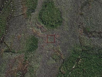 HOLOPAW GROVES ROAD, Saint cloud, FL, 34773