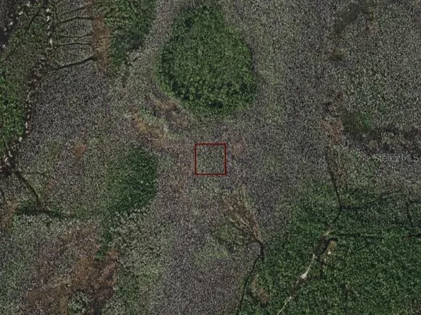 Holopaw Groves Rd, Saint Cloud, FL 34773