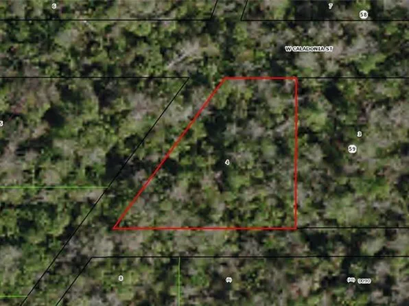 10690 W Caladonia St, Homosassaa, FL 34448