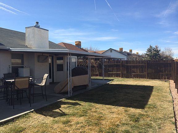 Backyard Winter