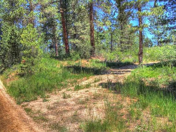 3rd image of Xxx Meadow Dr