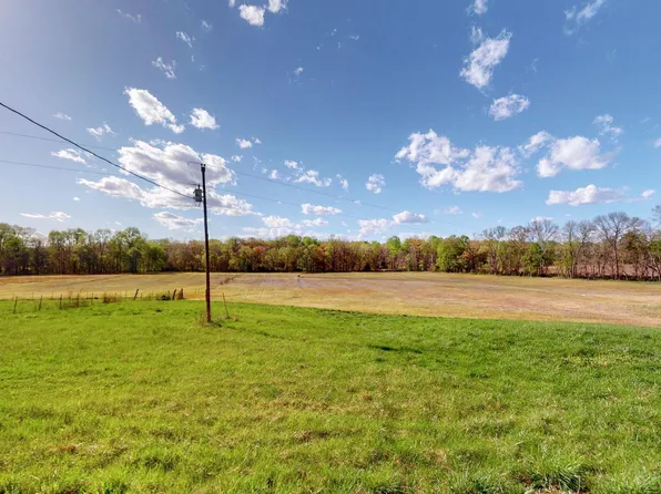0 McElrath Rd, Dexter, KY 42036