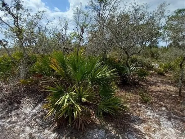 10522 Tam Oshanter Blvd, Sebring, FL 33875