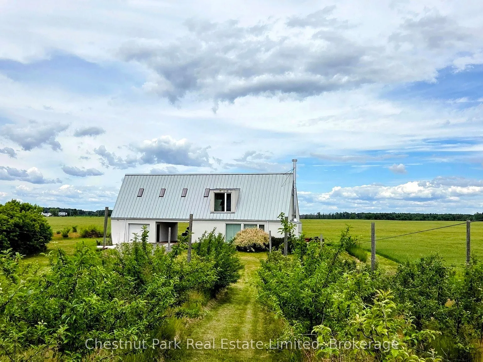 3 bed, $4,750 — Photo 2
