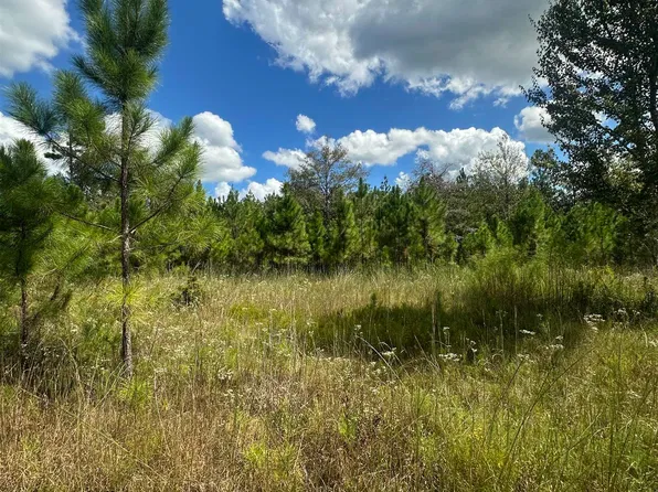 N State Route 71, Altha, FL 32421