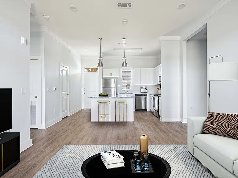 Living Room and Kitchen
